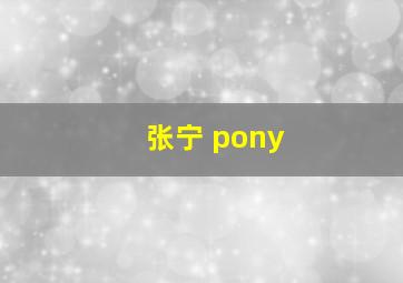 张宁 pony